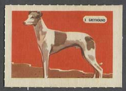 3 Greyhound